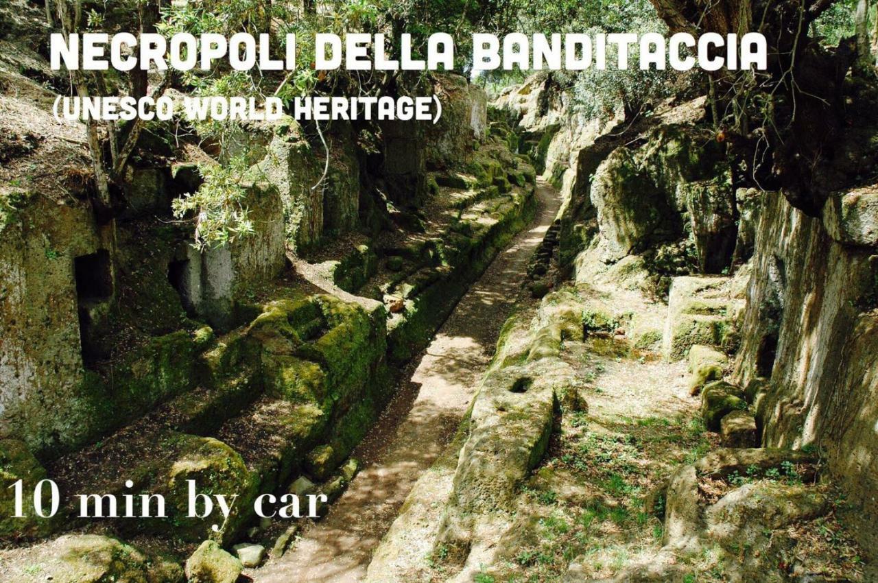 Domus Palombi Apartment Ladispoli Bagian luar foto